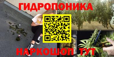 молекула духа Берёзовский