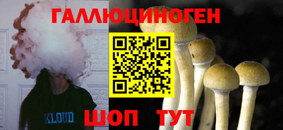 Галлюциногенные грибы ЛСД  Вход с VPN  Белая Калитва  Галлюциногенные грибы прущие грибы 